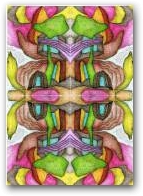 Pesce verso l'alto  » Click to zoom ->