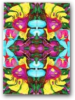 Go to gallery ->