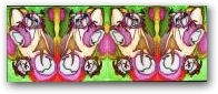 Fantasmini,embrioni nell'universo  » Click to zoom ->