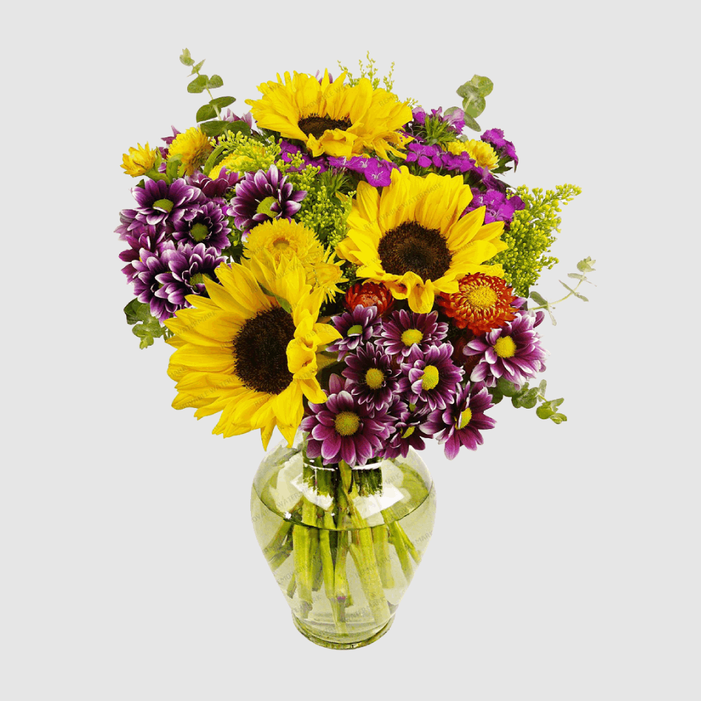 Acen Mazen Ruma Flowers